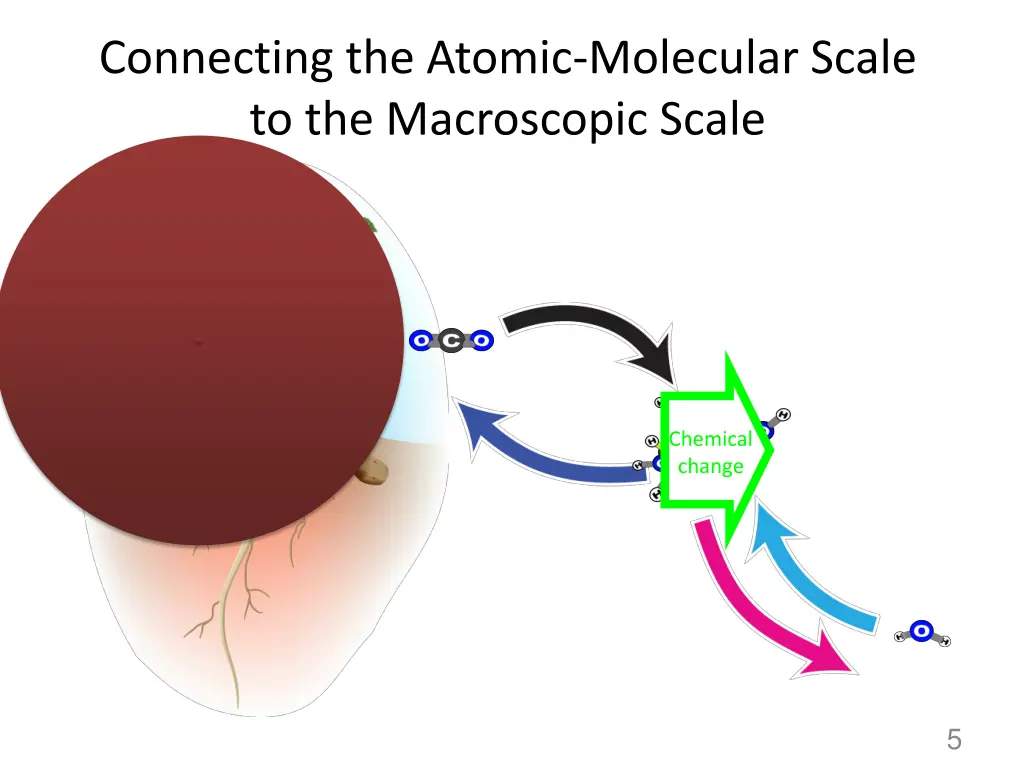 connecting the atomic molecular scale