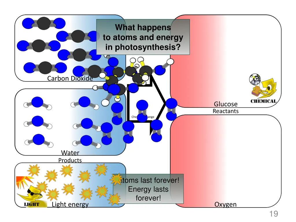 what happens to atoms and energy in photosynthesis 1