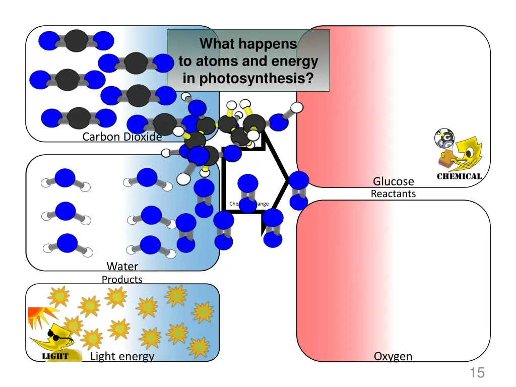 what happens to atoms and energy in photosynthesis