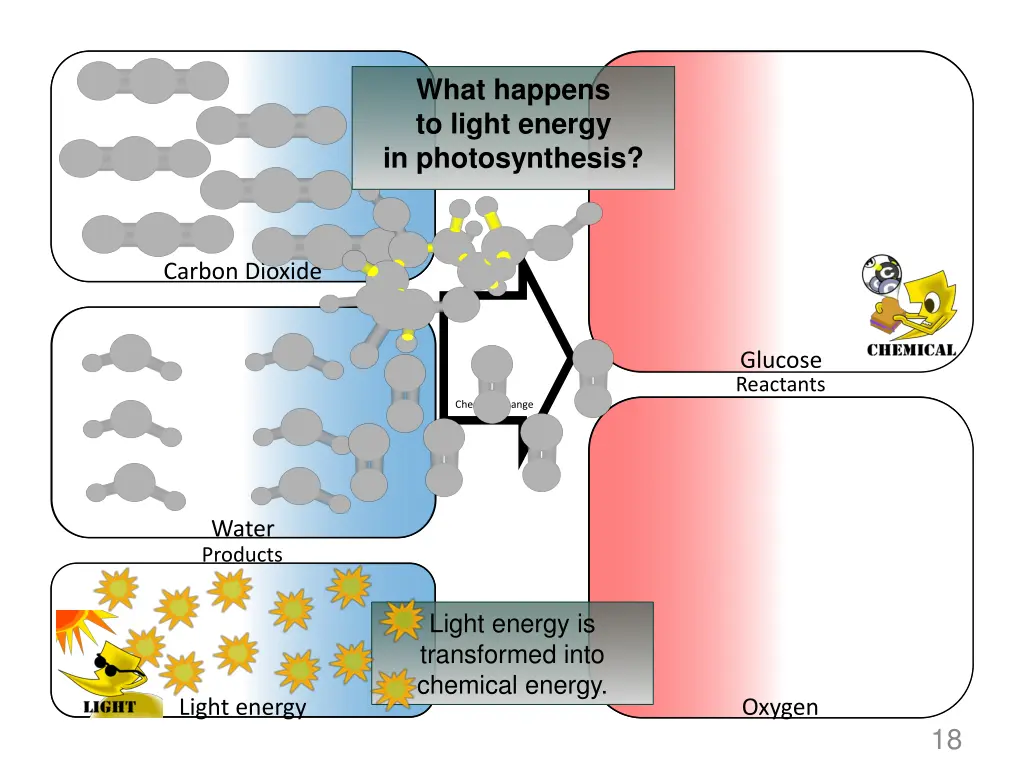 what happens to light energy in photosynthesis