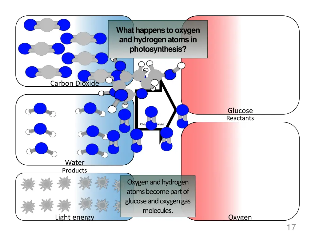 what happens to oxygen and hydrogen atoms