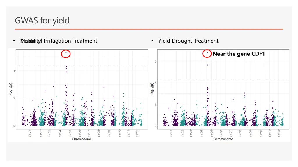 gwas for gwas for yield