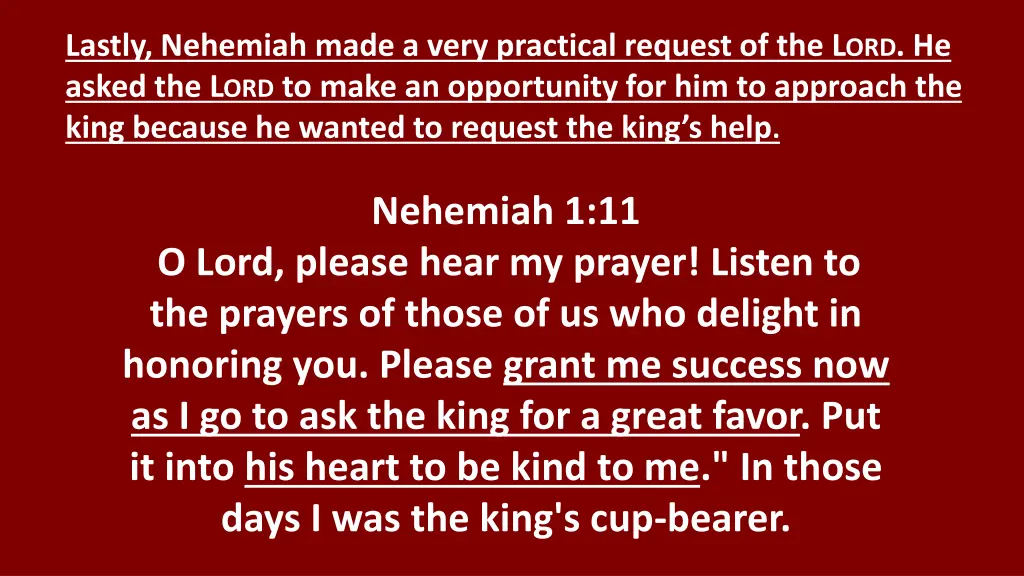 lastly nehemiah made a very practical request