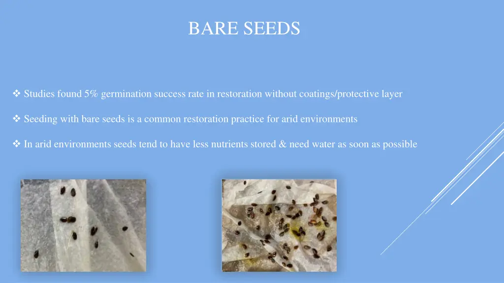 bare seeds