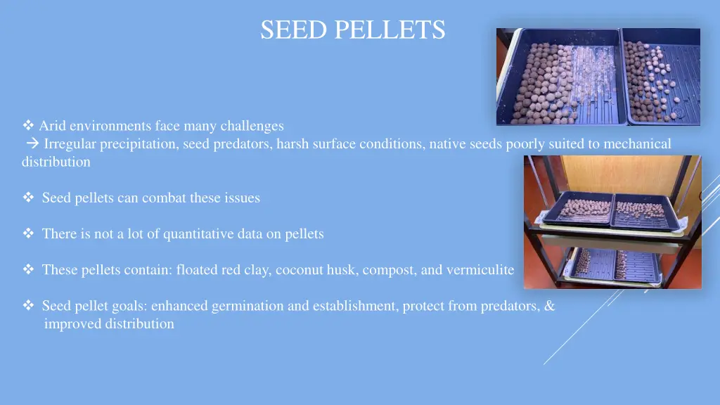 seed pellets