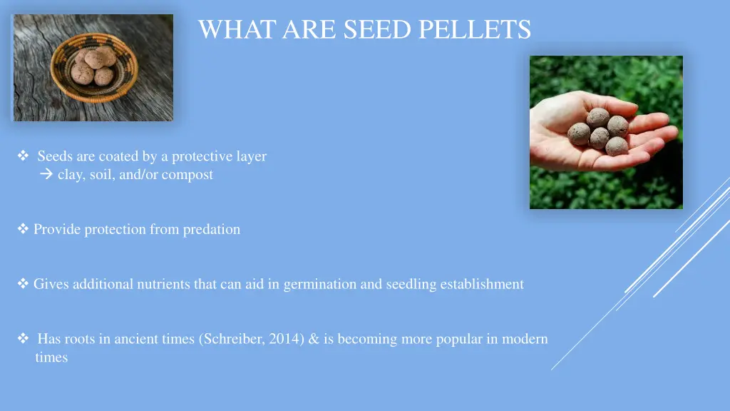 what are seed pellets