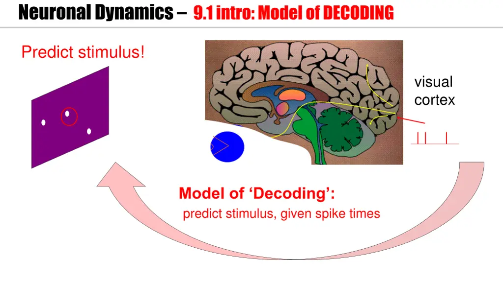 neuronal dynamics 9 1 intro model of decoding