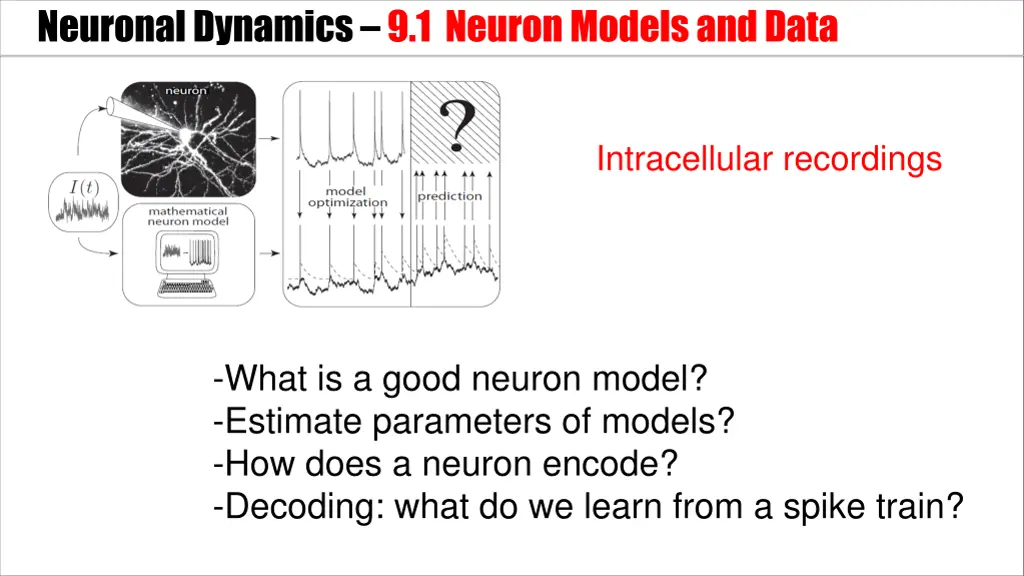 neuronal dynamics 9 1 neuron models and data