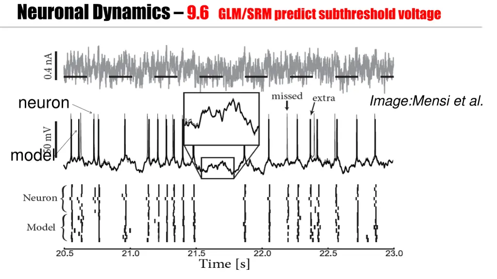 neuronal dynamics 9 6 glm srm predict