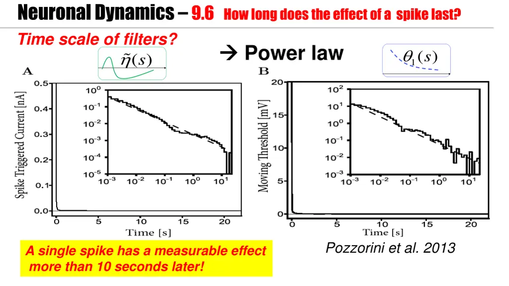 neuronal dynamics 9 6 how long does the effect