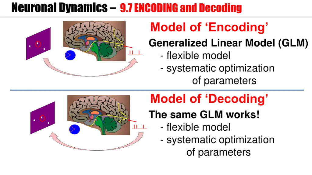 neuronal dynamics 9 7 encoding and decoding