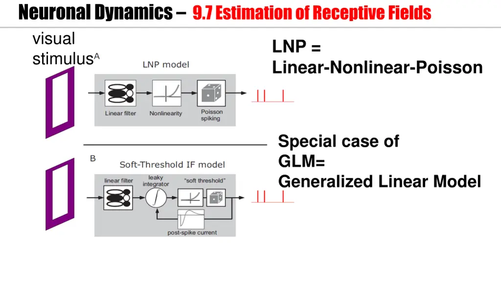 neuronal dynamics 9 7 estimation of receptive 1