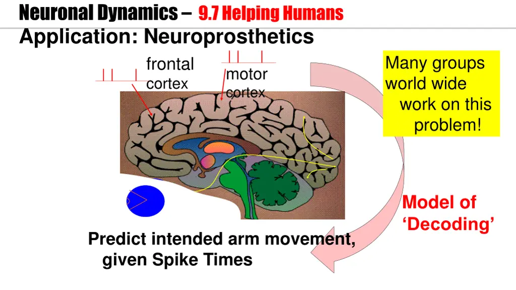 neuronal dynamics 9 7 helping humans