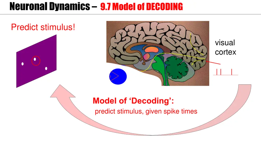 neuronal dynamics 9 7 model of decoding