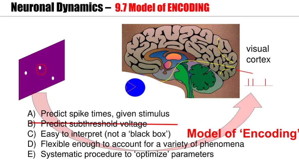 neuronal dynamics 9 7 model of encoding