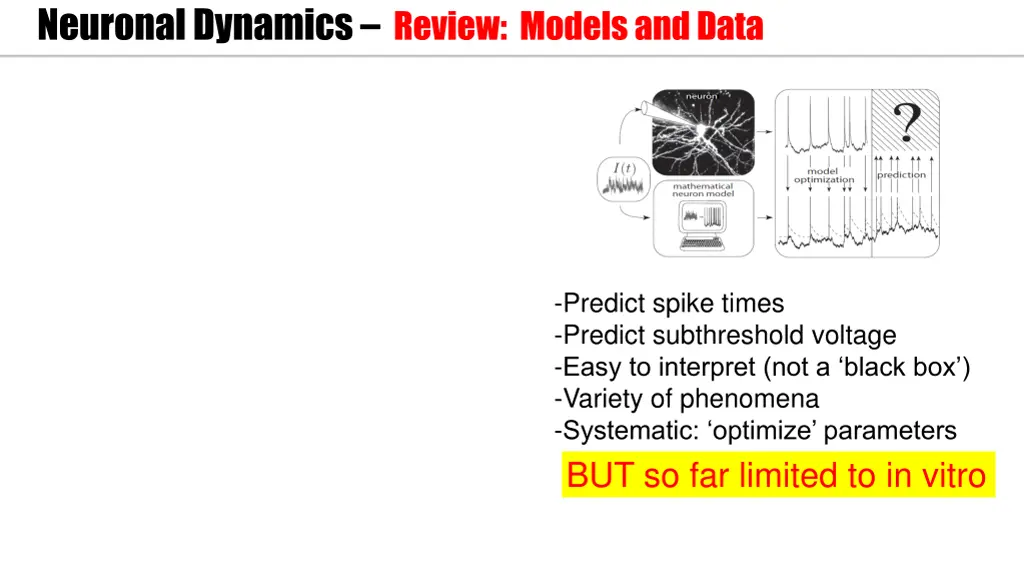 neuronal dynamics review models and data