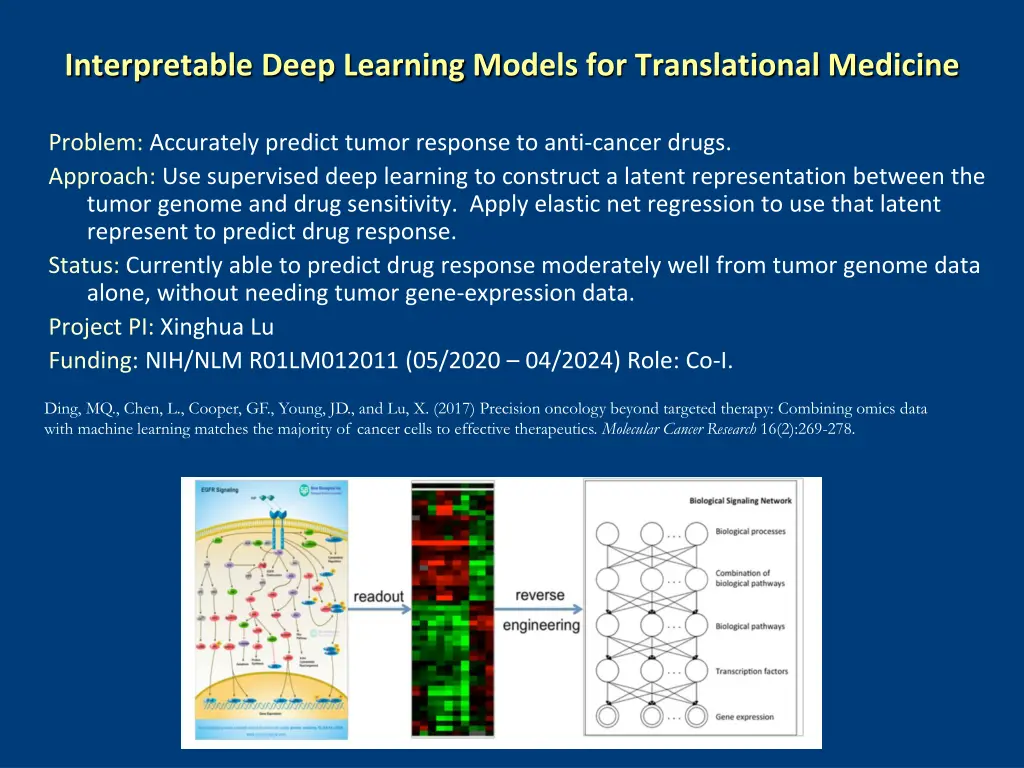 interpretable deep learning models