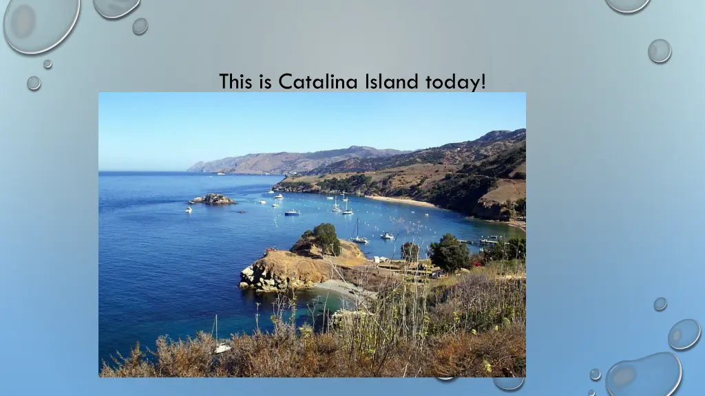 this is catalina island today