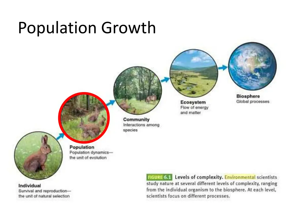 population growth