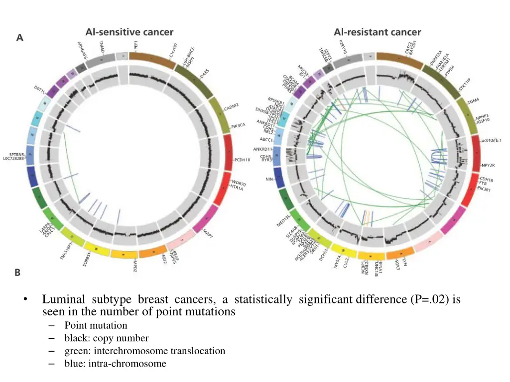 luminal subtype breast cancers a statistically