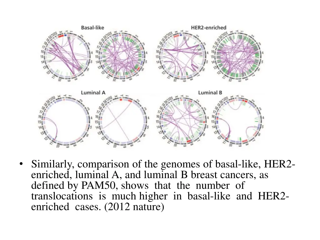 similarly comparison of the genomes of basal like