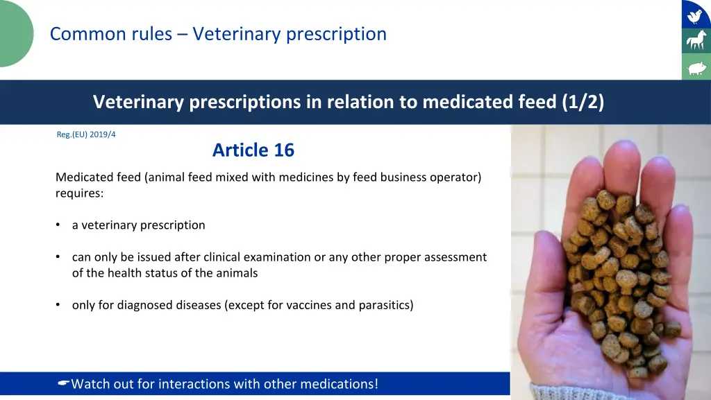 common rules veterinary prescription 1