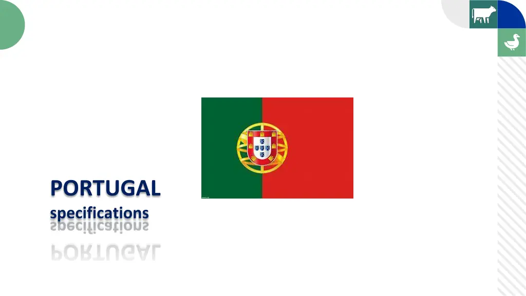 portugal specifications