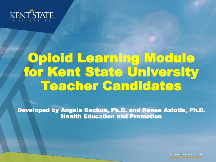 opioid learning module opioid learning module