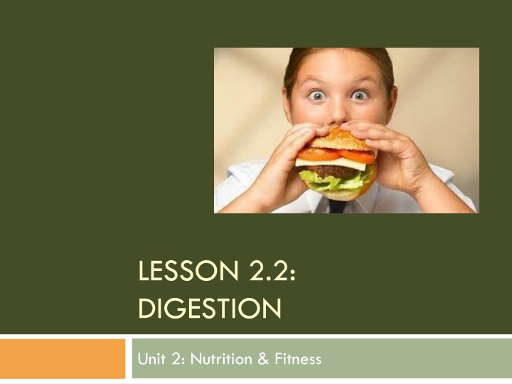 lesson 2 2 digestion