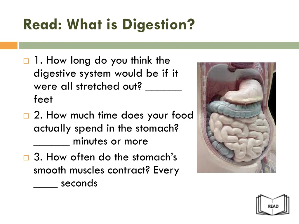 read what is digestion