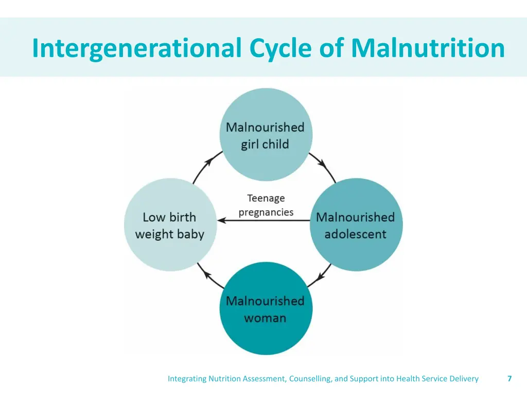 intergenerational cycle of malnutrition