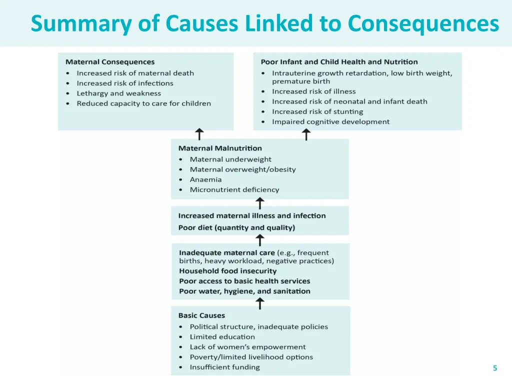 summary of causes linked to consequences