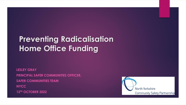 preventing radicalisation home office funding