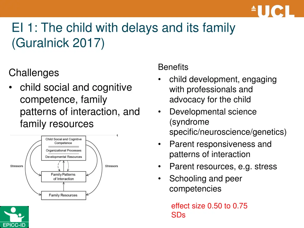 ei 1 the child with delays and its family