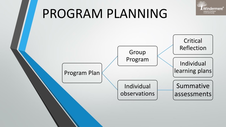 program planning