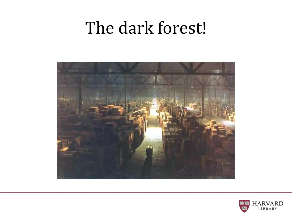 the dark forest