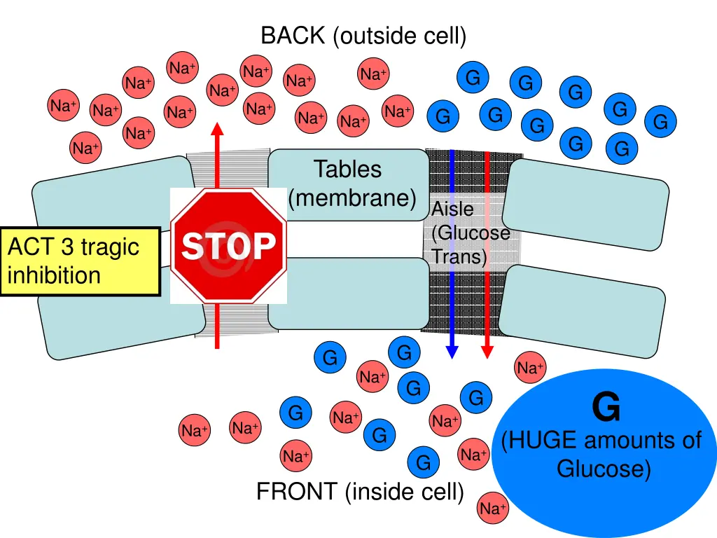 back outside cell 1