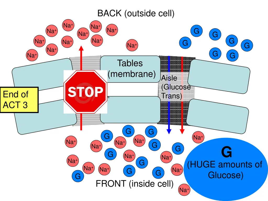 back outside cell 2