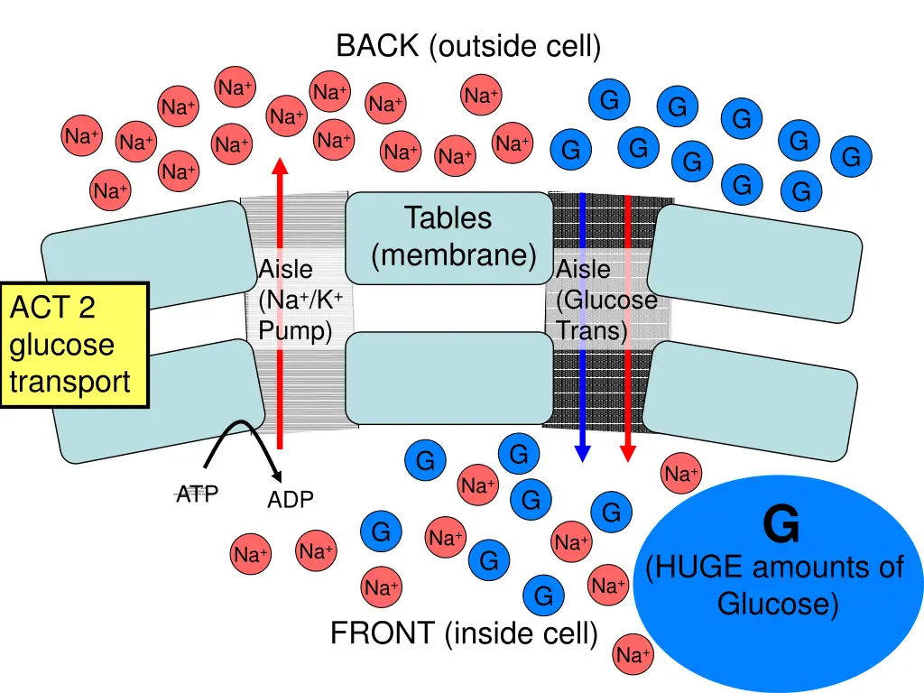 back outside cell