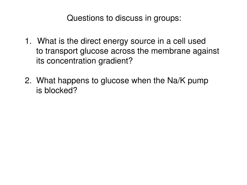 questions to discuss in groups