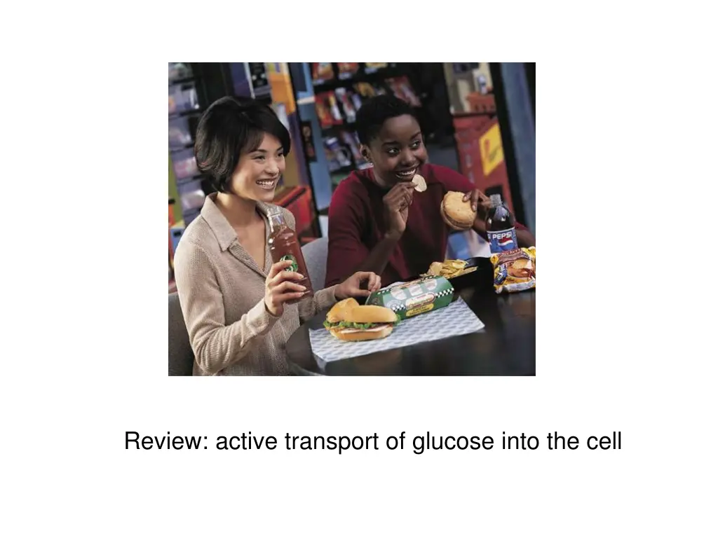 review active transport of glucose into the cell