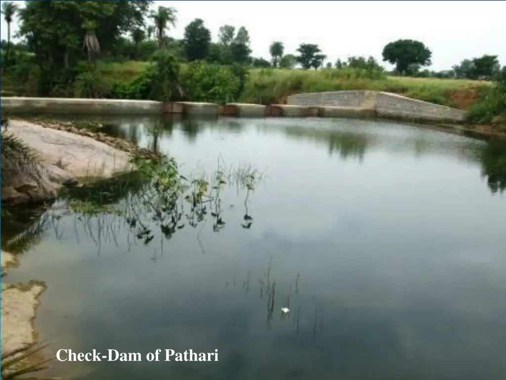 check dam of pathari