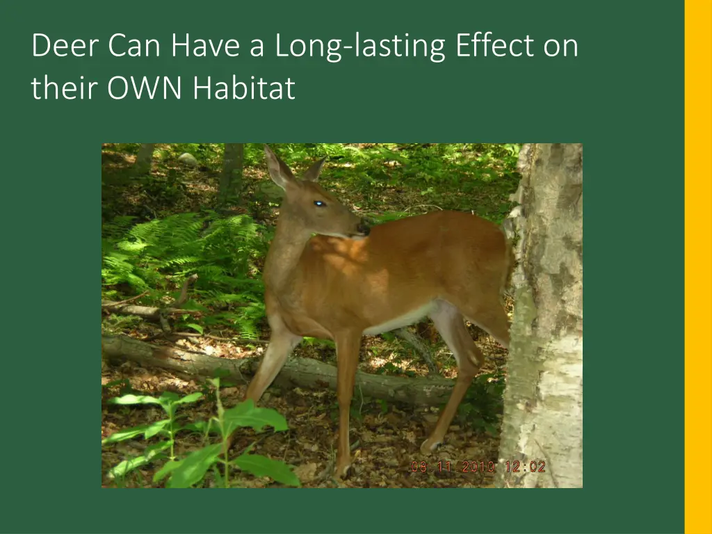 deer can have a long lasting effect on their