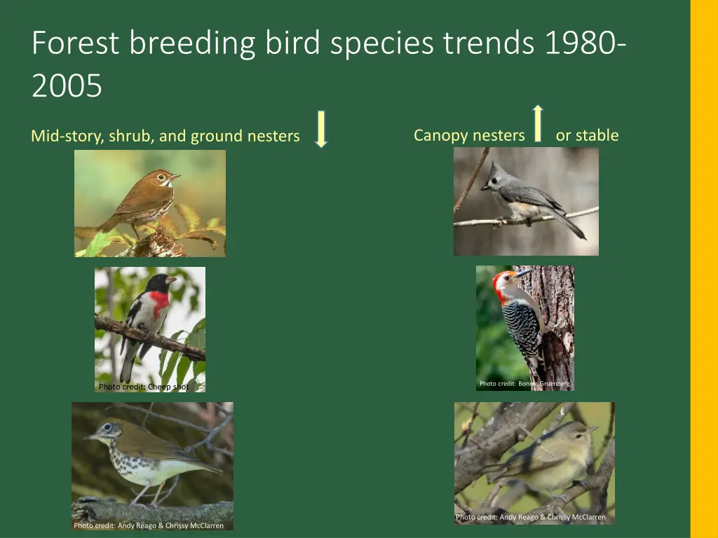 forest breeding bird species trends 1980 2005