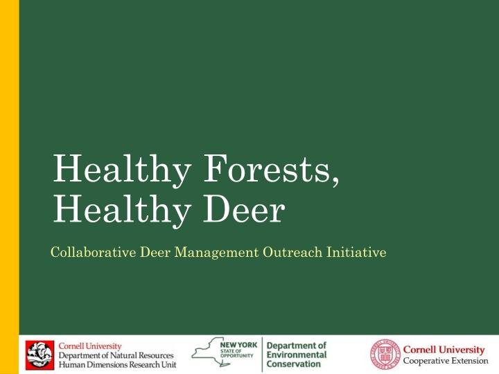 healthy forests healthy deer