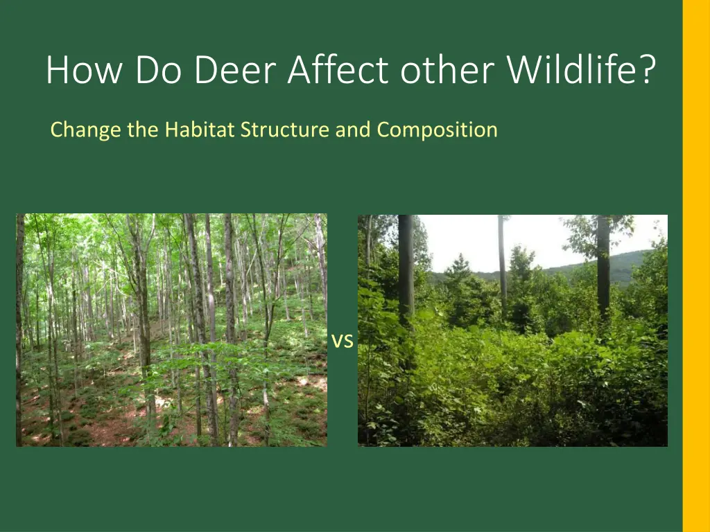 how do deer affect other wildlife