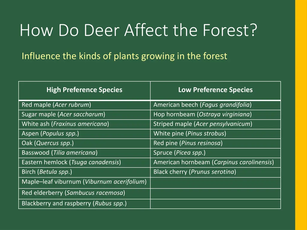 how do deer affect the forest 2