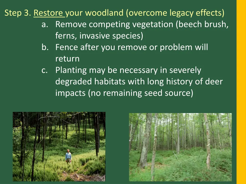 step 3 restore your woodland overcome legacy