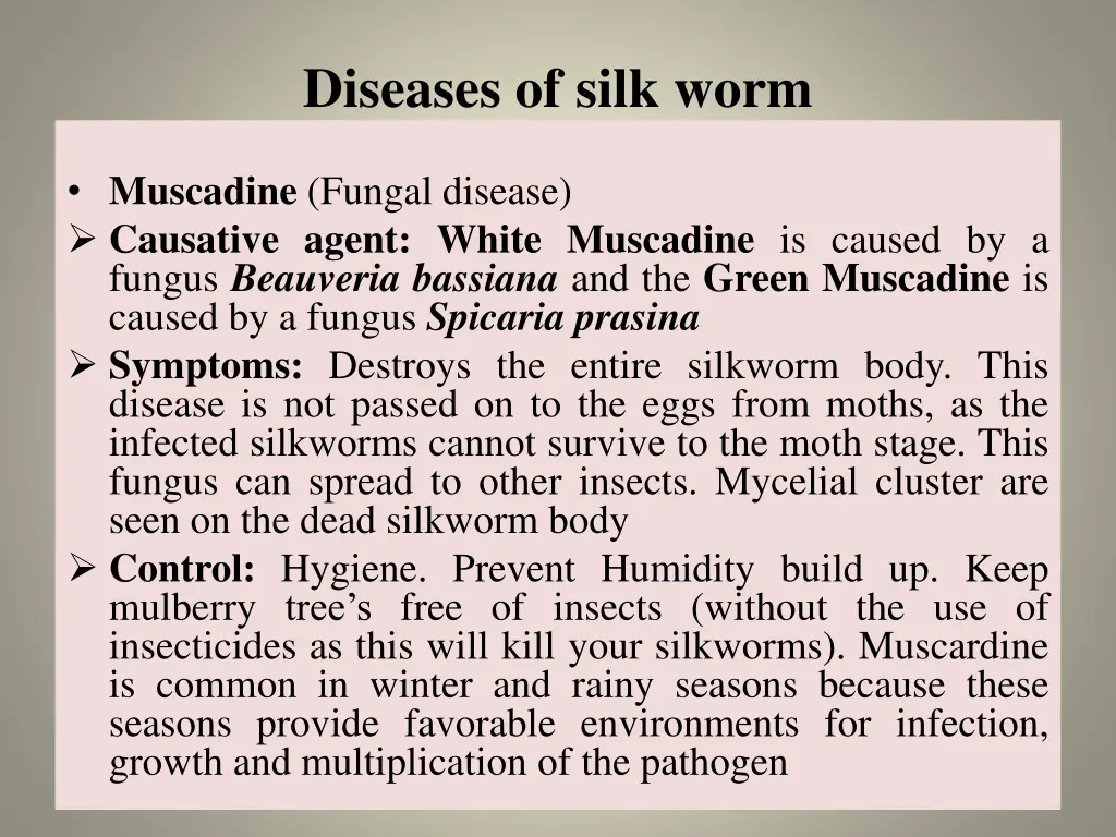 diseases of silk worm