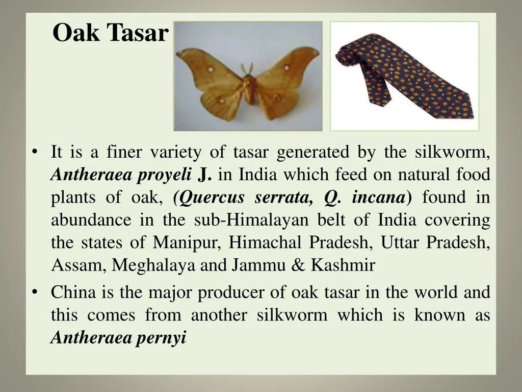 oak tasar